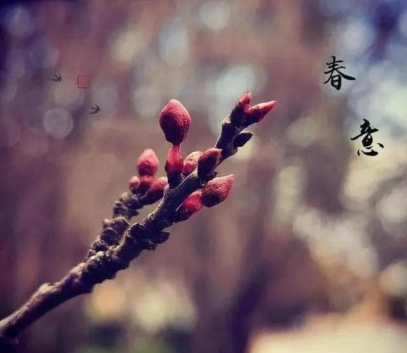 春的表达方式是什么？