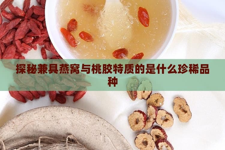 探秘兼具燕窝与桃胶特质的是什么珍稀品种