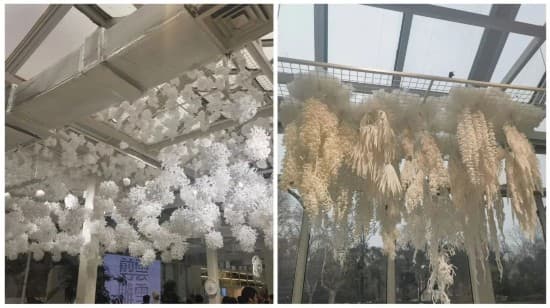 中山公园艺术展、滨江滑冰场、金海白沙滩：上海的冬日冰雪地图