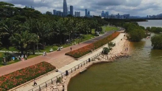 建设公园城市，深圳描绘“山海连城”美丽画卷
