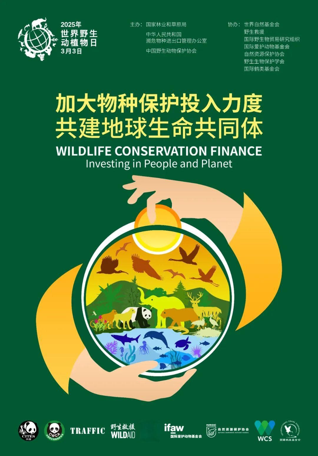 世界野生动植物日：中国加大物种保护投入力度 共建地球生命共同体