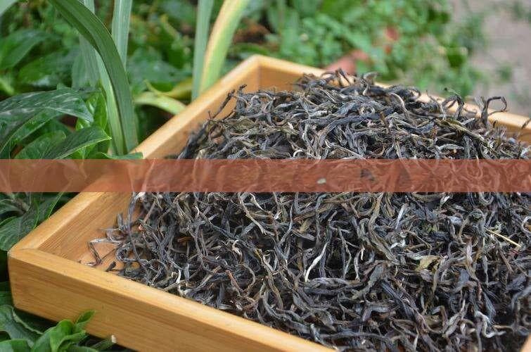 全面解析：哪种茶有助于顺气排气？附带饮用建议与注意事项