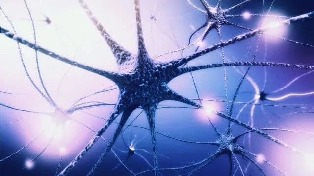 睡觉太关键了！《科学》子刊发现失眠与阿尔茨海默病的关键联系