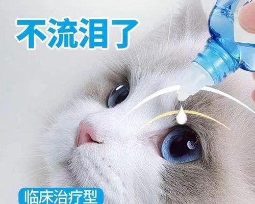 如何为猫咪正确使用眼药水（猫咪眼睛健康保护攻略）