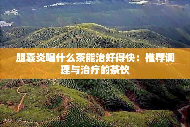 薄荷茶、金银花茶等七种茶饮，助力胆囊炎患者缓解症状