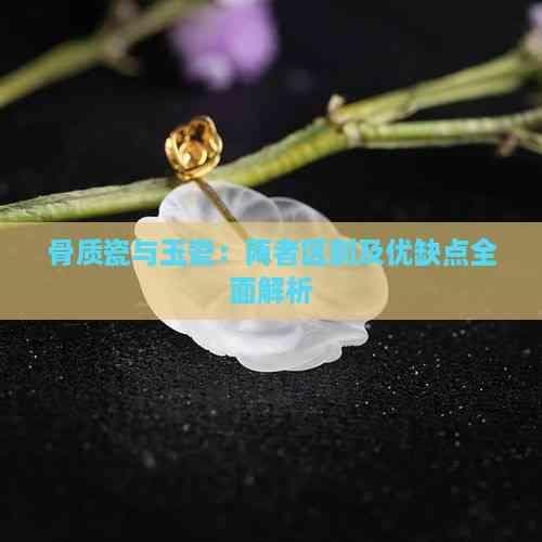 骨质瓷与玉瓷：两者区别及优缺点全面解析