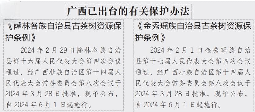 广西壮族自治区  用科技共谋野生稻保护