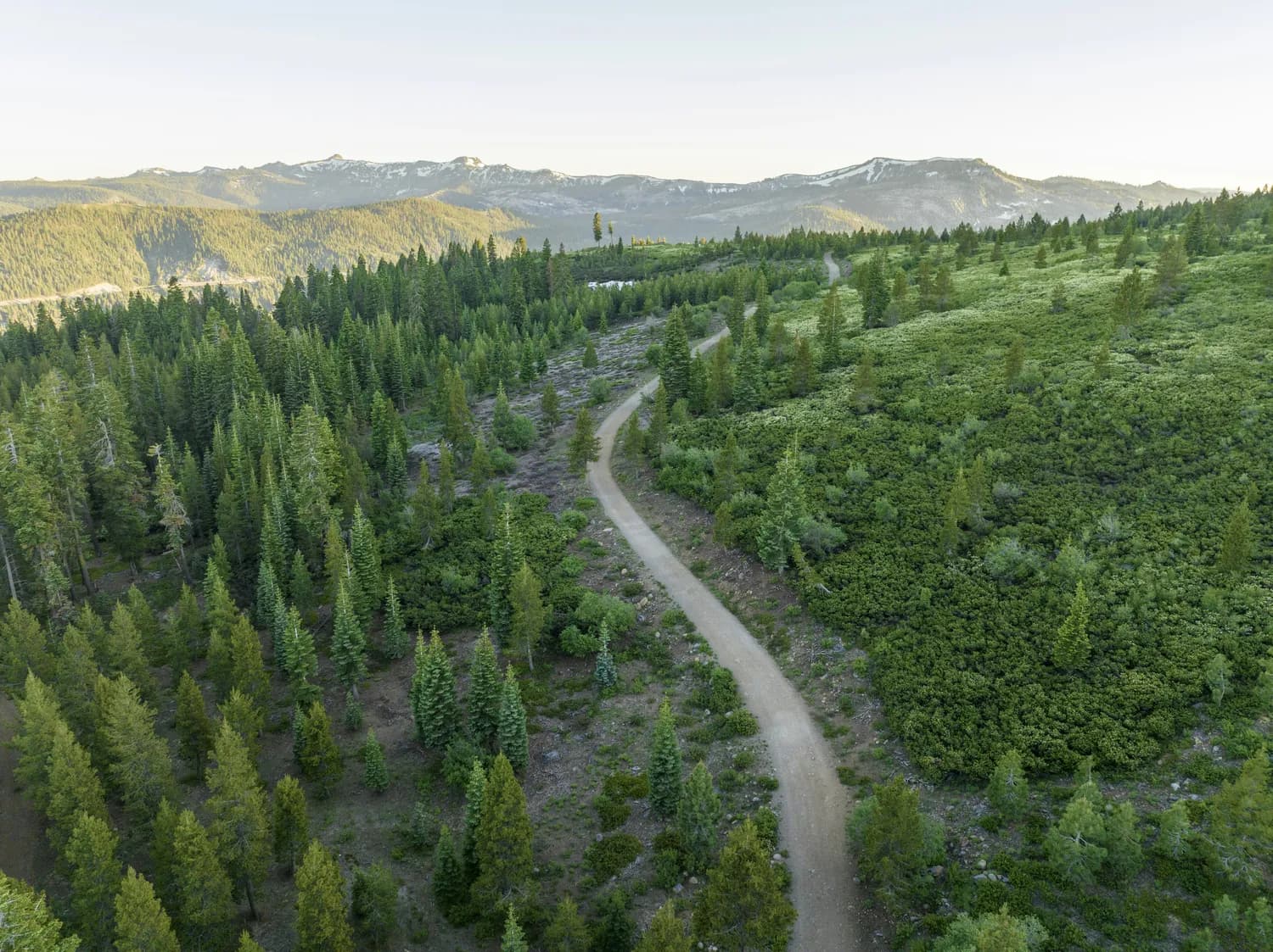 狼山森林步道：南通最美自然景观推荐