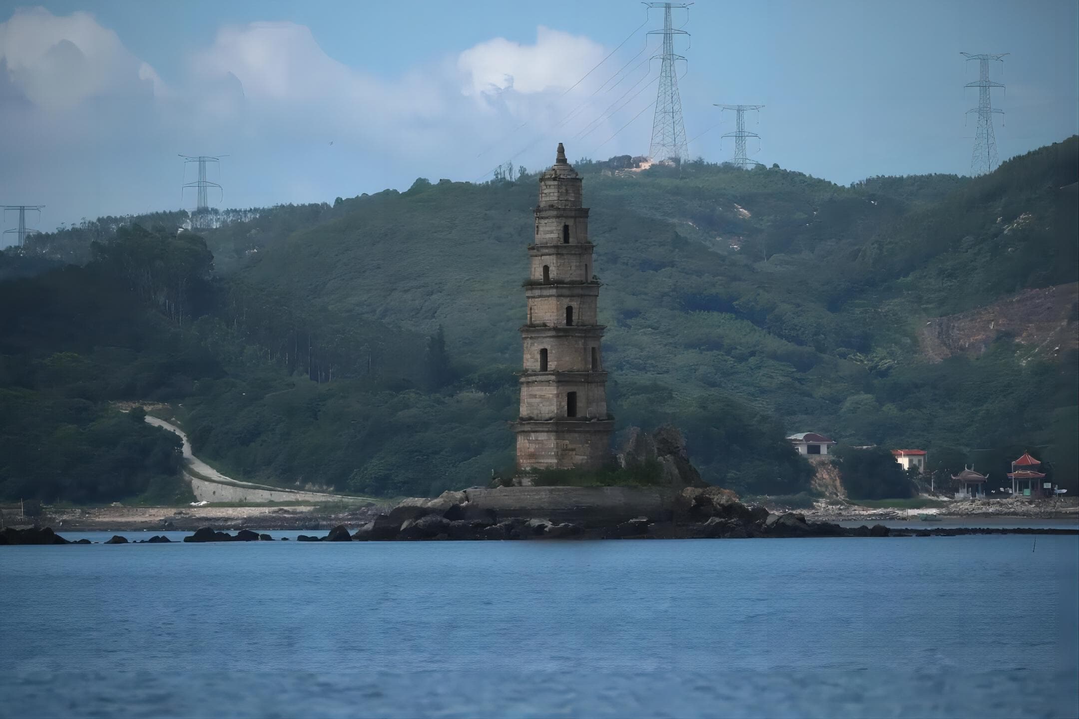 结伴”春游”的白海豚，可能是种群灭绝前的绝唱