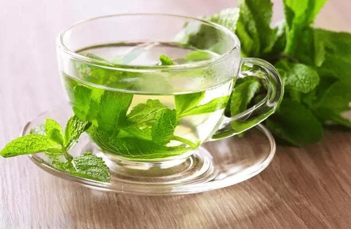 养胃茶有哪些呢？超人气养胃茶TOP 10揭晓！