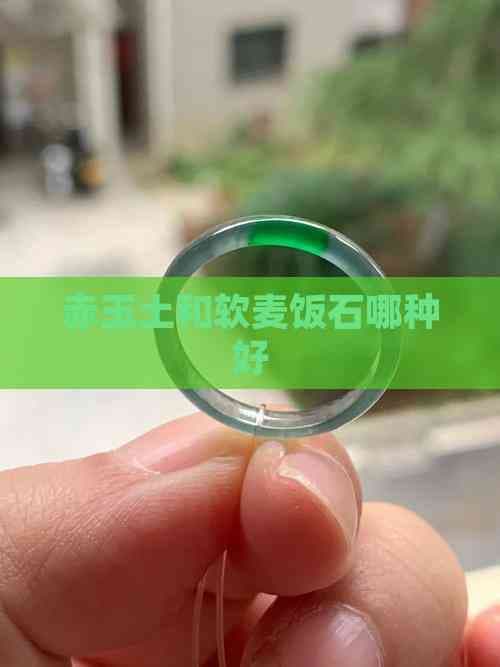 赤玉土和软麦饭石哪种好？园艺介质材料深度解析