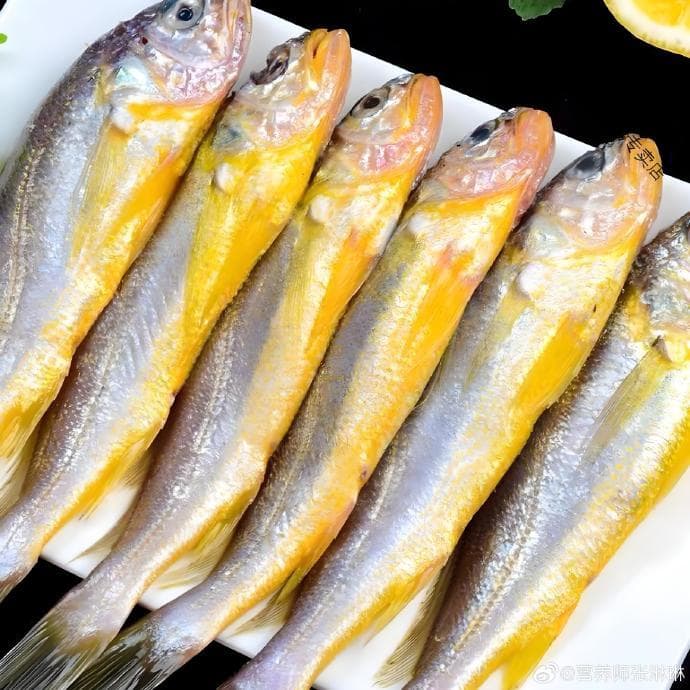 挑选小黄鱼看四点：鱼眼、鱼腮、鱼腹、鱼尾