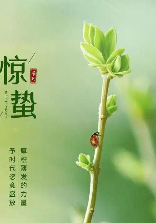 惊蛰节气到！你不知道的文化与习俗揭秘