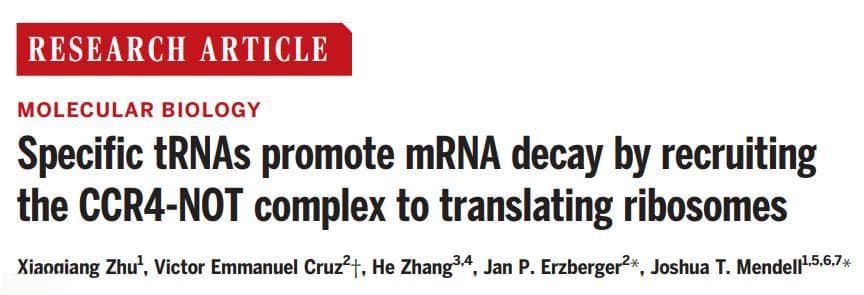 Science：中国博后一作，发现mRNA稳定调控新机制