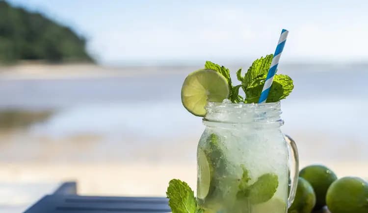 夏日Mojito的无酒精教程，超解压爽到爆，快手清凉特饮莫吉托