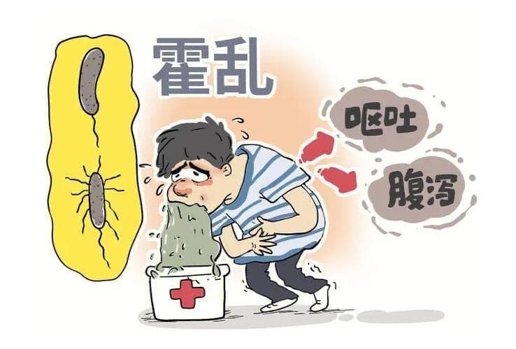 夏季传染病科普：带你了解霍乱弧菌