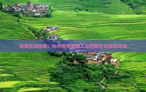 海南旅游指南：允许携带酒类入岛的规定与限制详解