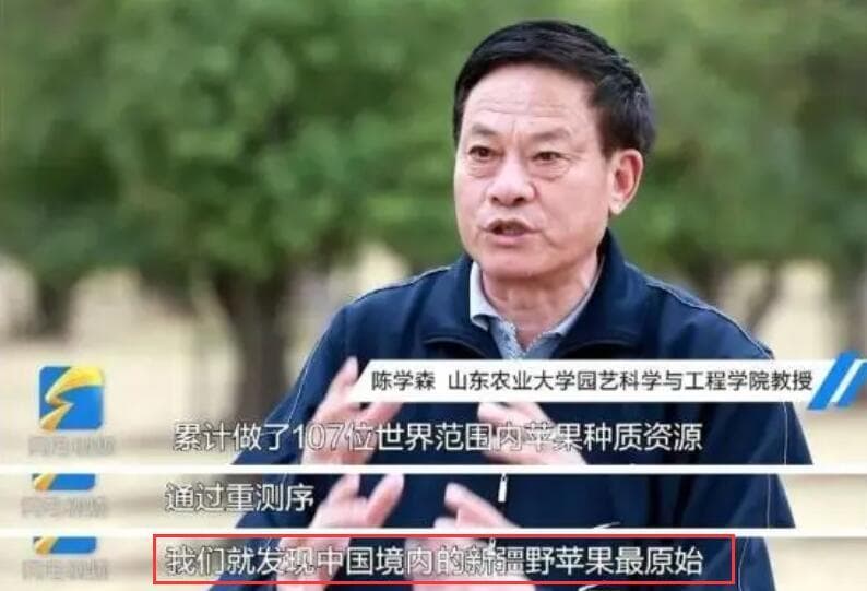 世界苹果的“根”新疆算一个 你知道古代苹果叫啥名？