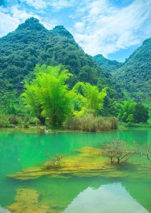 咏春拳：传统武术的现代健身之道