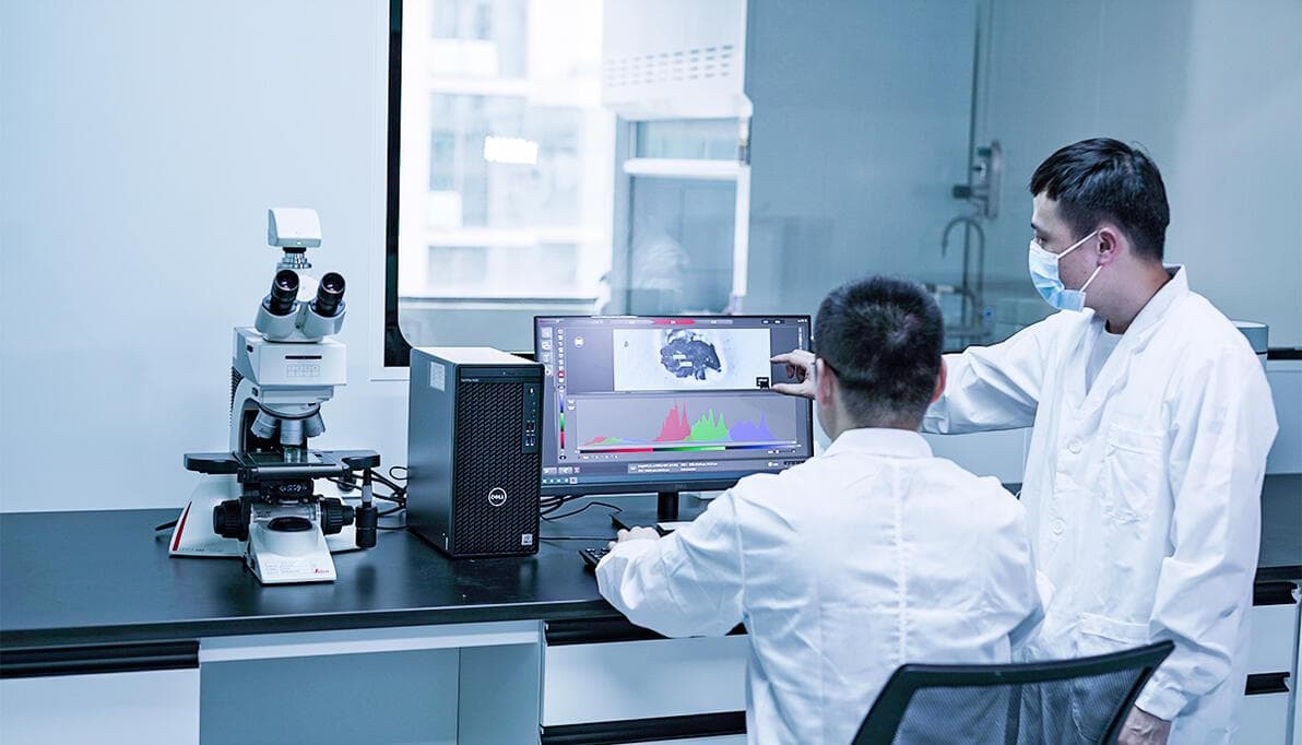 ACF人工软骨材料减震97.1%，新材料研究激发新质生产力