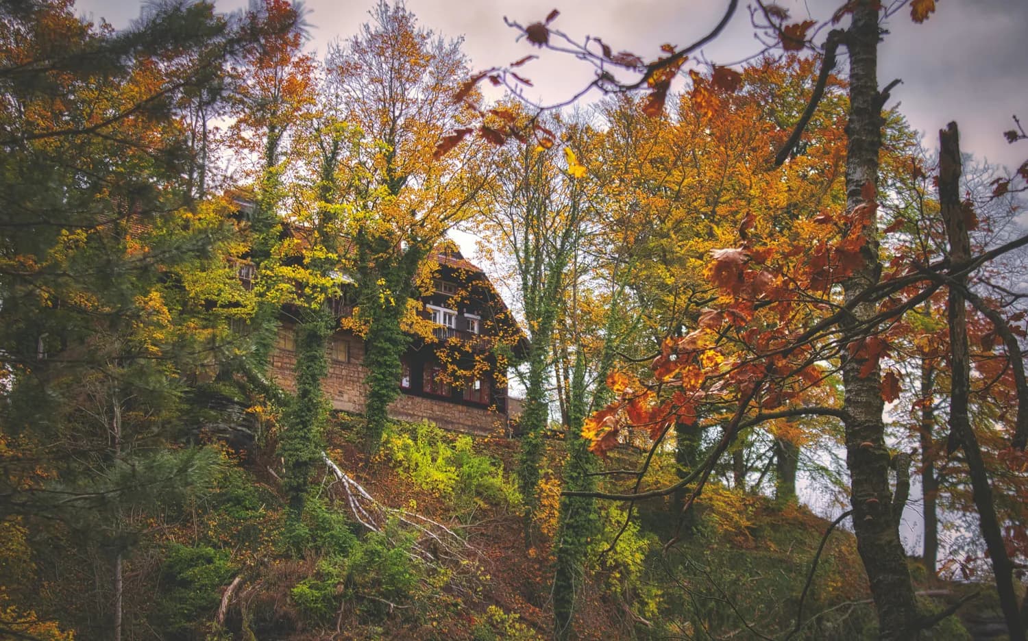 南靖土楼迎来最佳观赏期，四大景点及交通住宿全攻略