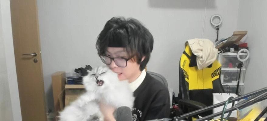 橘猫吃下纸巾后的危险与处理方法