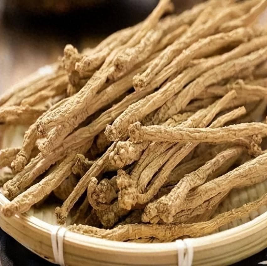 健脾益肺，养血生津——党参