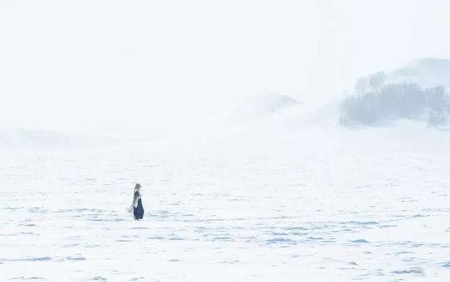 冬日坝上：雪覆白桦林，冰封草原，两大景区游玩指南