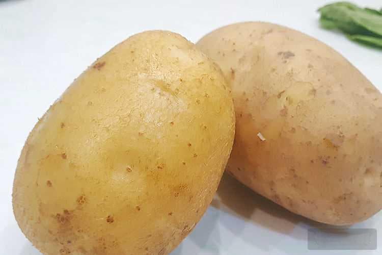 马铃薯与米饭：哪个含更多热量？