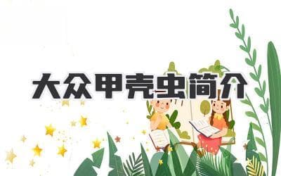 一款传奇车型的诞生：大众甲壳虫，从二战到现代的永恒经典