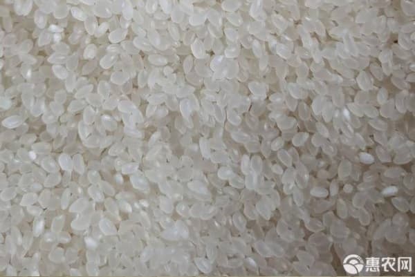 黑龙江大米排名：八大品种各具特色