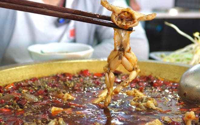 牛蛙火锅真的会感染寄生虫？真相揭秘！
