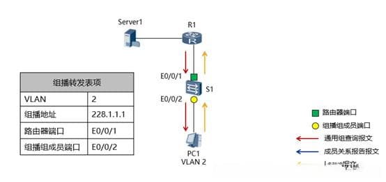 IGMP Snooping和组播VLAN技术原理