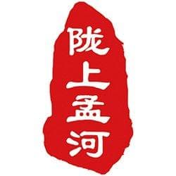 国内首个全流程自主知识产权“液态阳光”项目开工