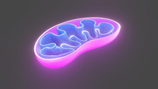 《科学》重磅！美国发现2型糖尿病发病根本原因