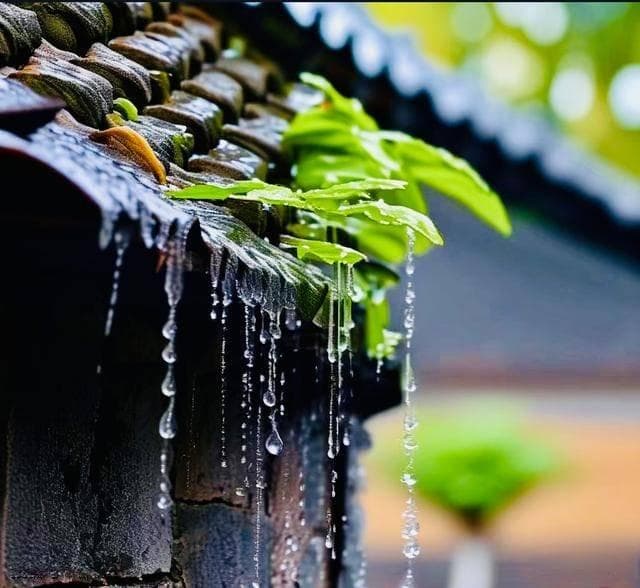 写雨最好的十首诗，每一首都经典，最后一首更是让人赞不绝口