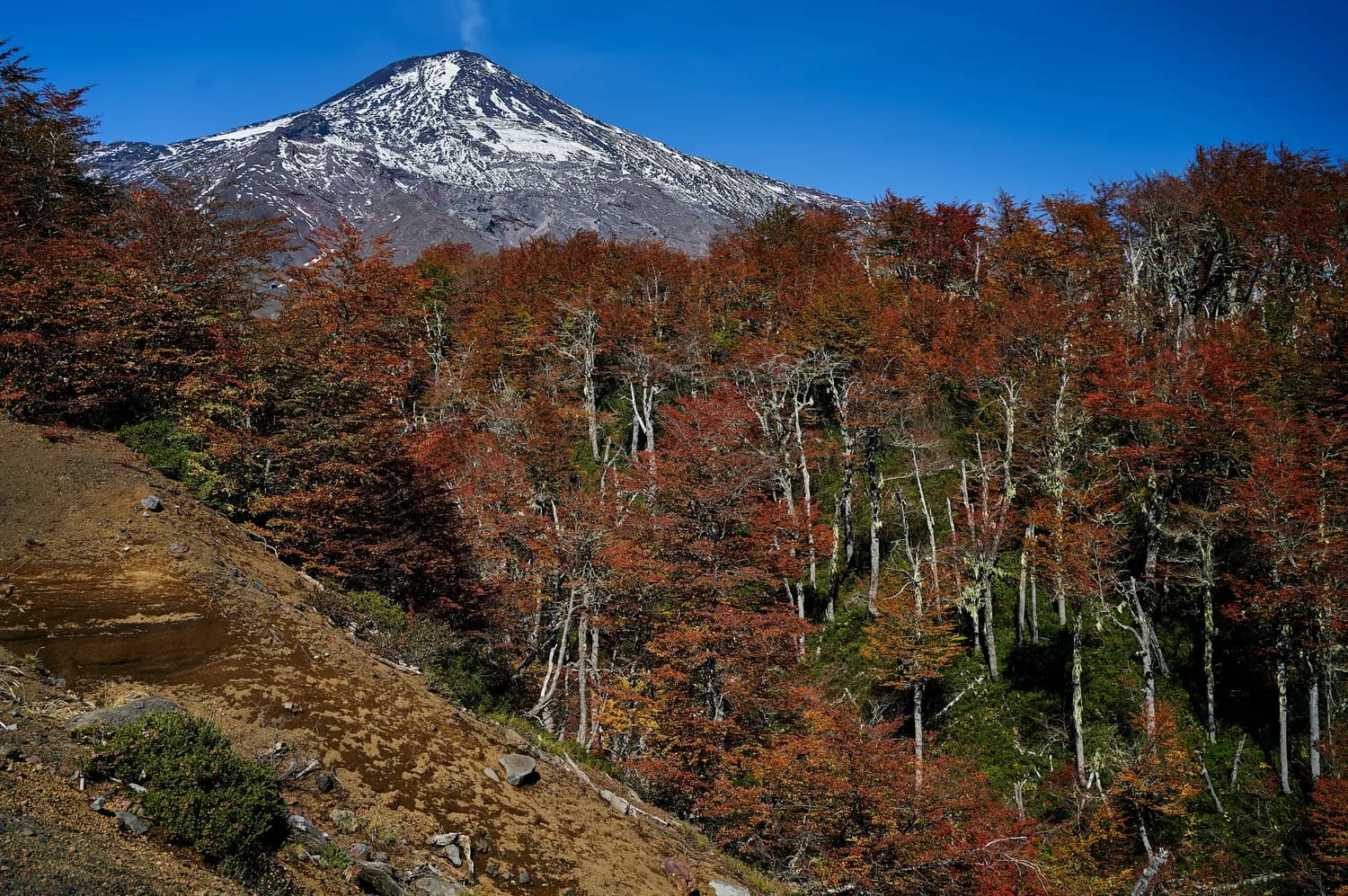 秋冬自驾游：探秘江西三百山仙境