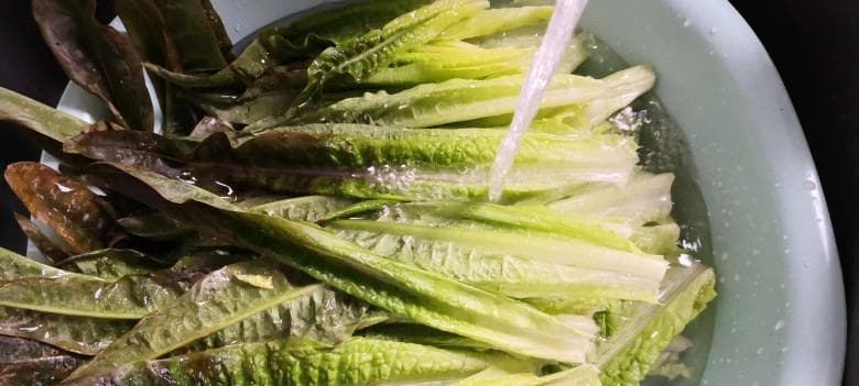 莴笋叶的蒸法：打造美味又营养的健康佳肴