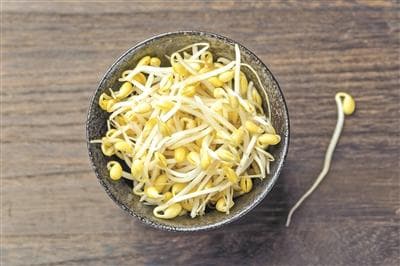 豆芽菜一点儿也不菜