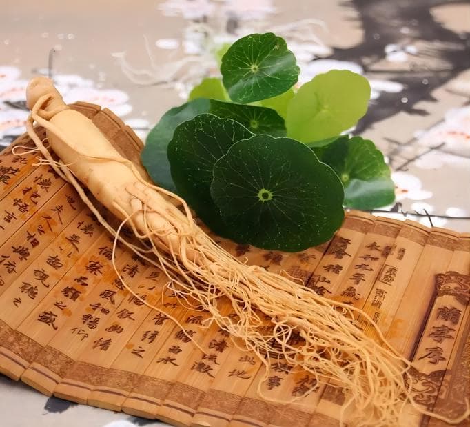 五参散：五种参类补肺肾，夏季服用正当时