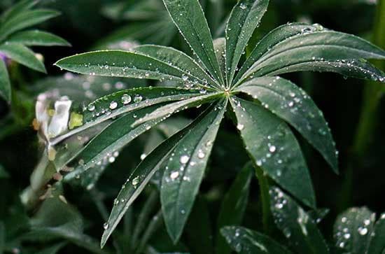 惊蛰节气：自然苏醒与农事智慧的完美结合