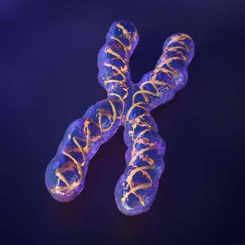 NMN提升NAD+保护端粒，艾奥美创新技术延缓衰老
