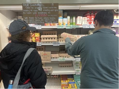美国鸡蛋价格飙升：一蛋难求背后的供应链危机