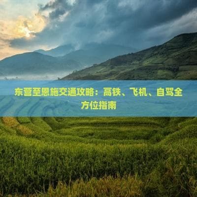 东营至恩施交通攻略：高铁、飞机、自驾全方位指南
