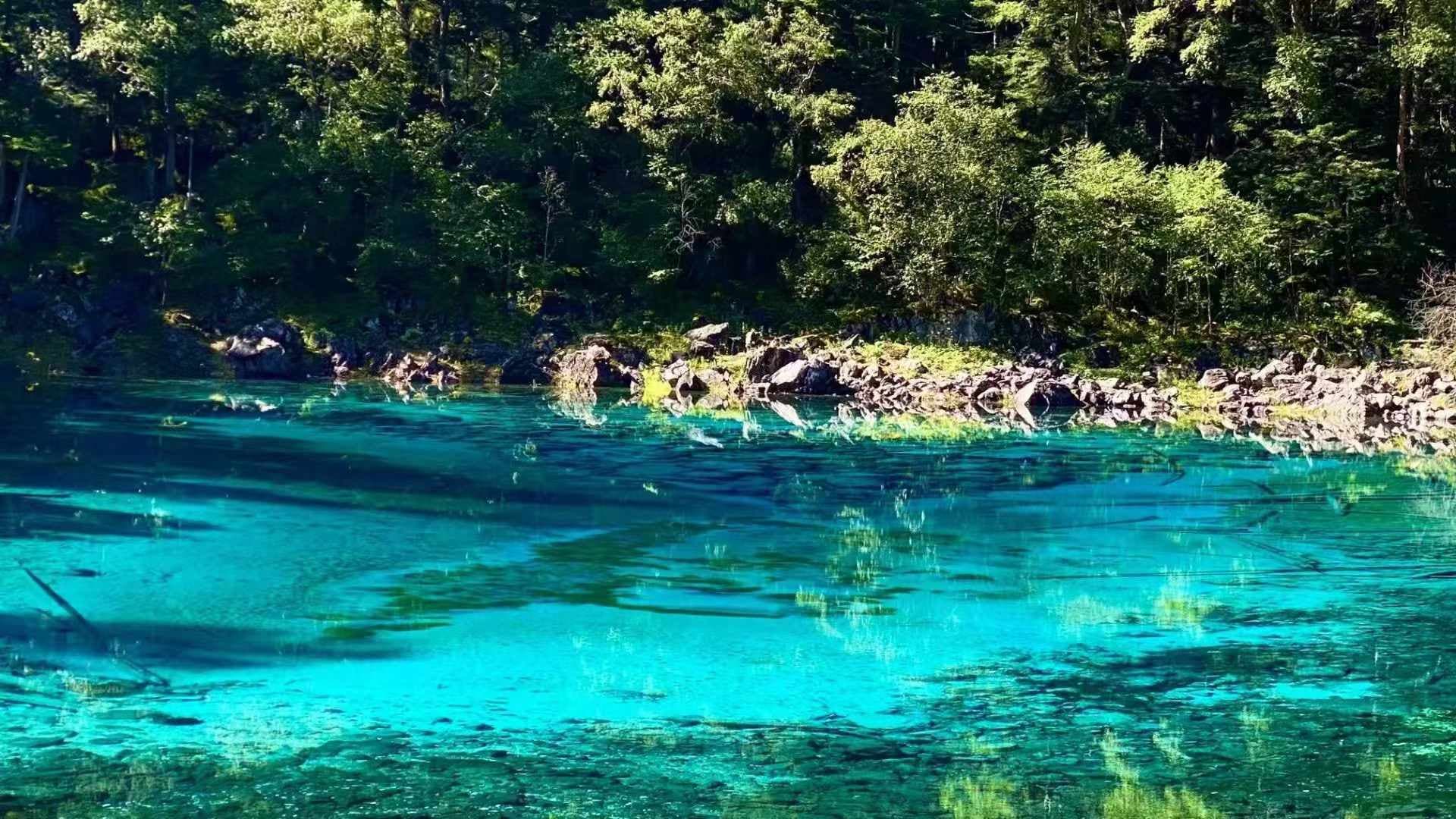 九寨沟：探秘仙境，海拔与高原反应的应对秘籍