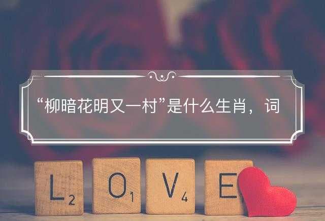 “柳暗花明又一村”是什么生肖，词义词典解答释义