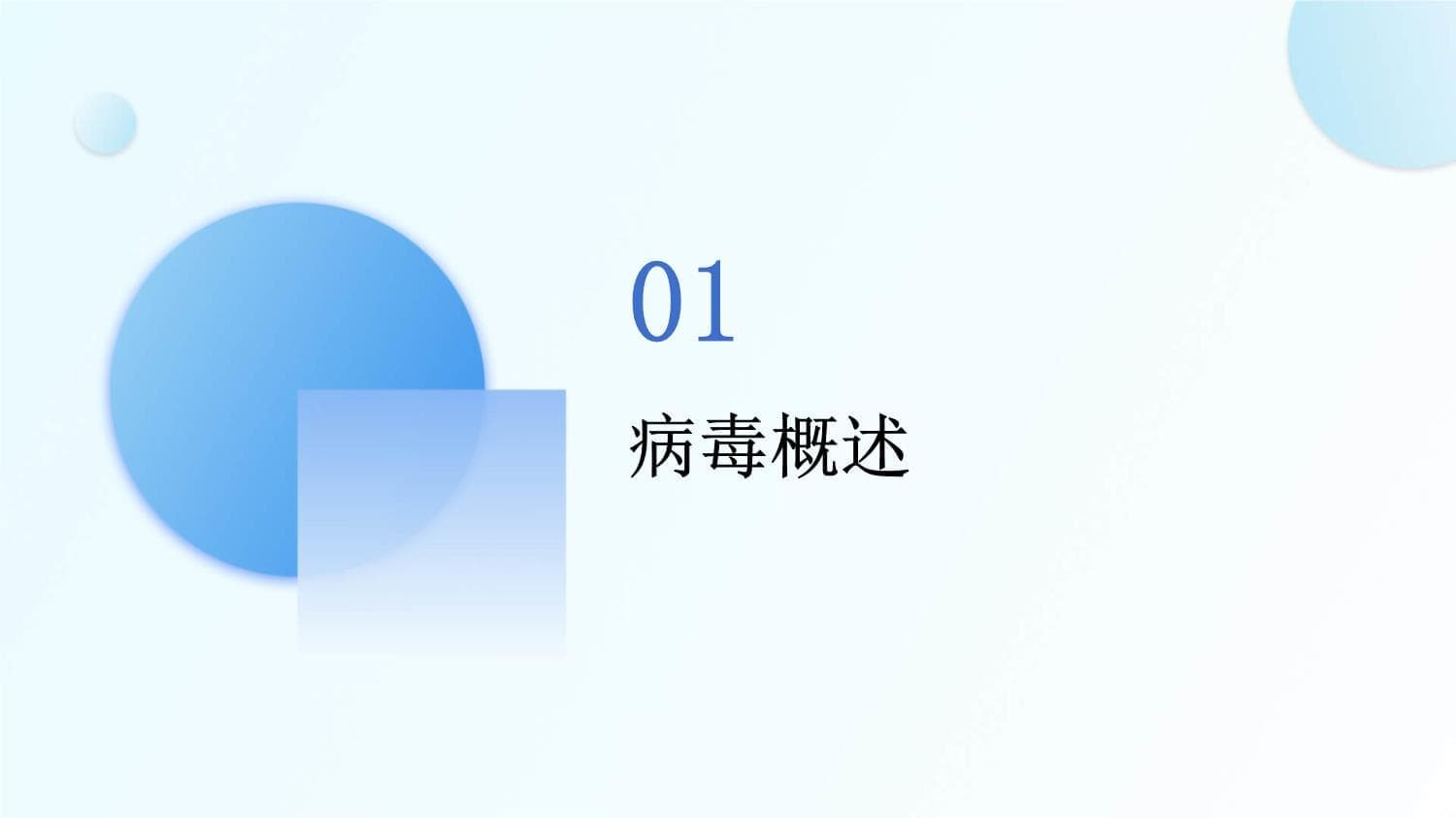 乙肝病毒介绍
