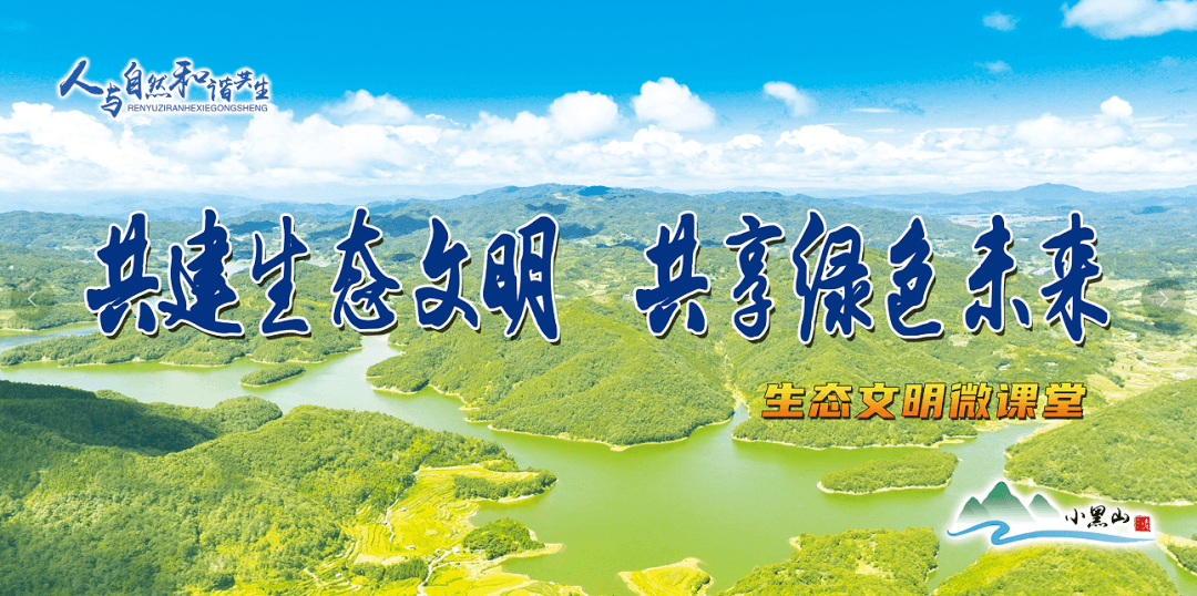自然科普丨大白鹭、中白鹭、小白鹭和黄嘴白鹭，如何区分！