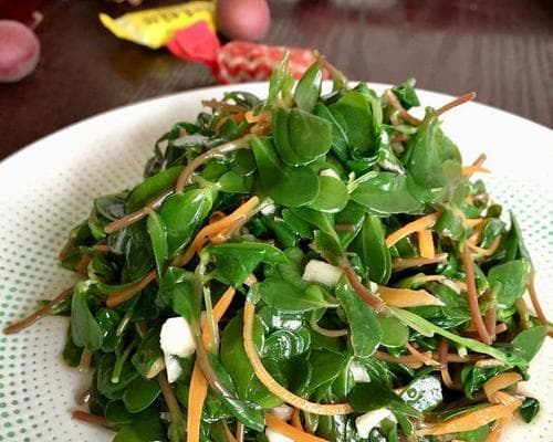 马齿苋怎么吃才美味？15个创意食谱推荐