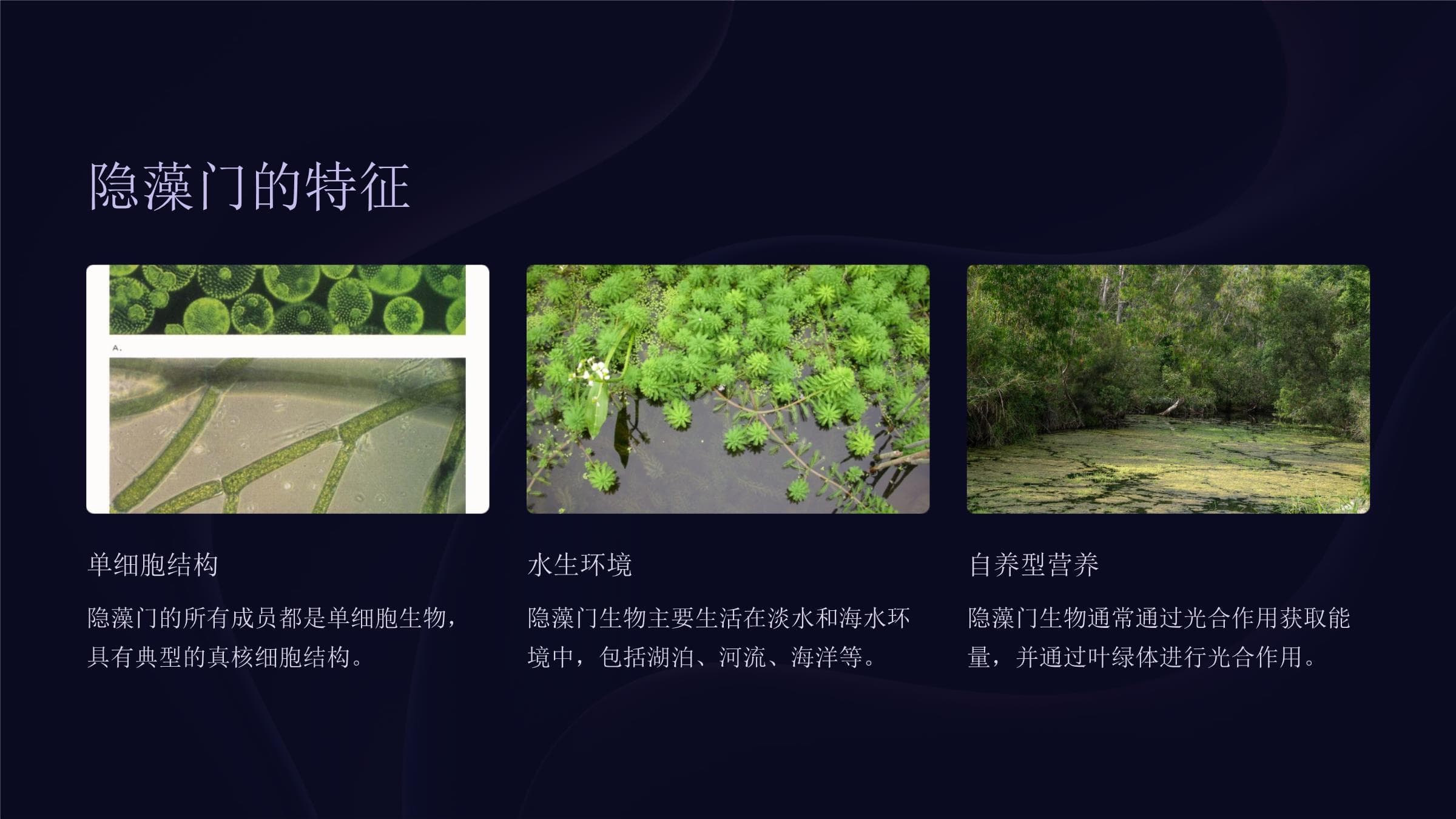 隐藻门与甲藻门：藻类生物的奥秘